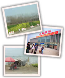 学校へ向かう道